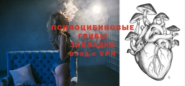 дживик Надым