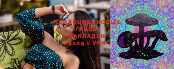 молекула духа Алексеевка