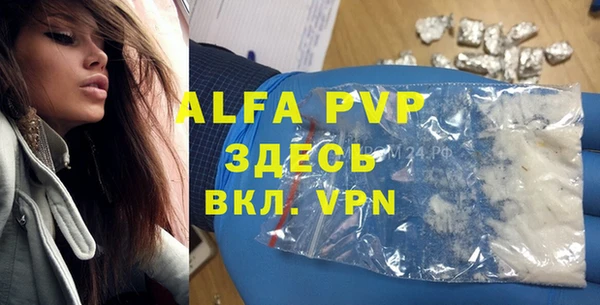 молекула духа Алексеевка