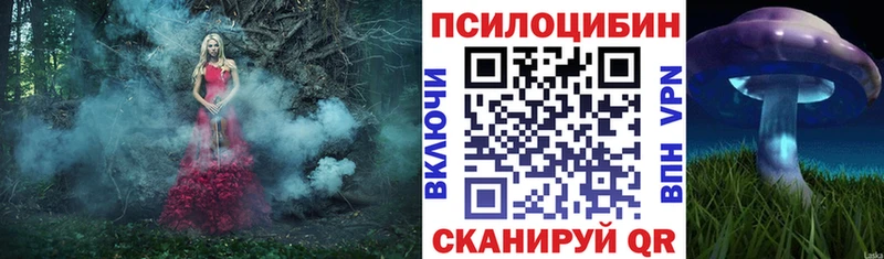 Галлюциногенные грибы мицелий  Приозерск 